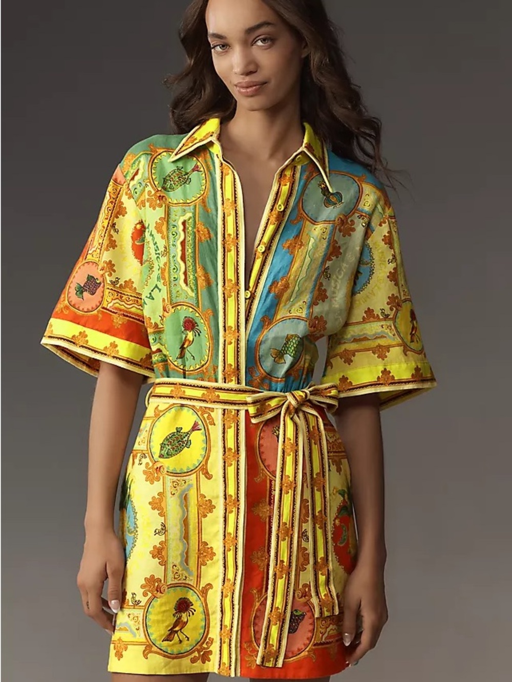 ALÉMAIS La Musica Mini Dress- size 2
